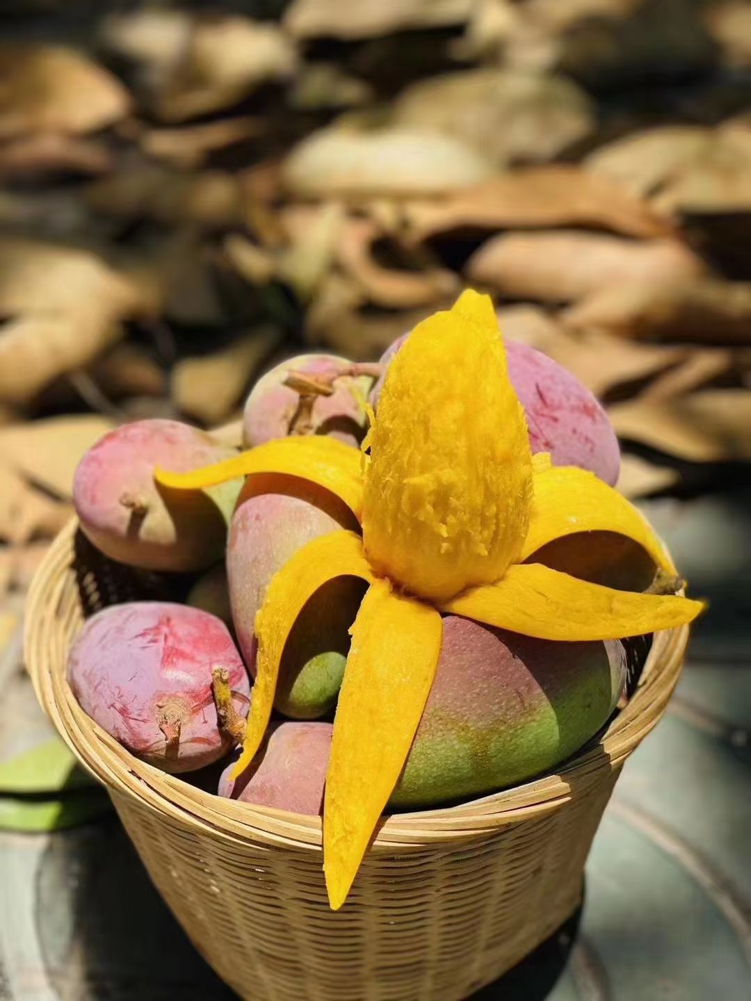  贵妃芒果