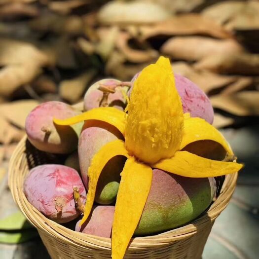  贵妃芒果