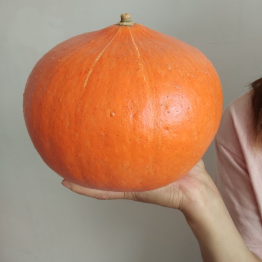泗县红皮板栗南瓜