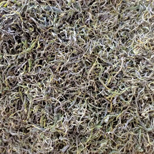 池州毛茶绿茶