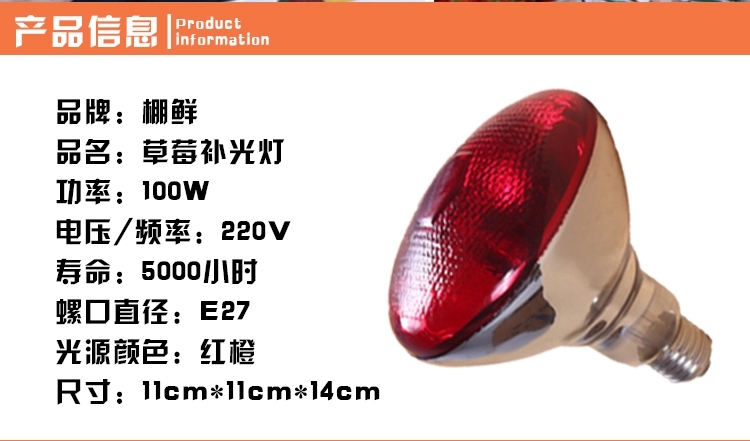 草莓补光增温灯 增加草莓抗寒能力提高棚温改善草莓提质增产口感