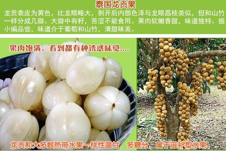 免费种植技术龙贡(long kong,学名laium domesticum,别名椰色果,兰撒