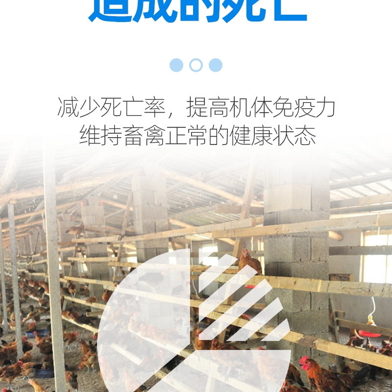 降温解暑抗应激，提高采食量，拌料饮水喷洒，猪牛羊鸡鸭鹅解暑