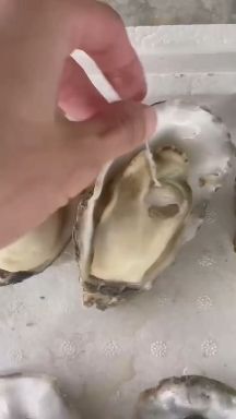 乳山市净化蚝  乳山生蚝二/三倍体量大从优 支持一件代发，批发，电