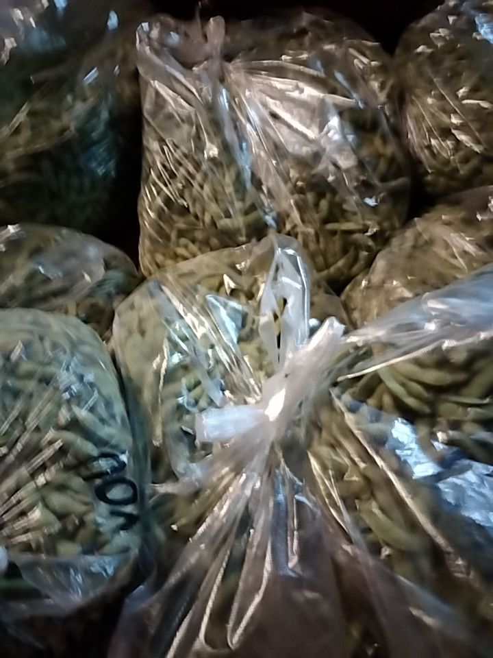 毛豆荚 毛豆
