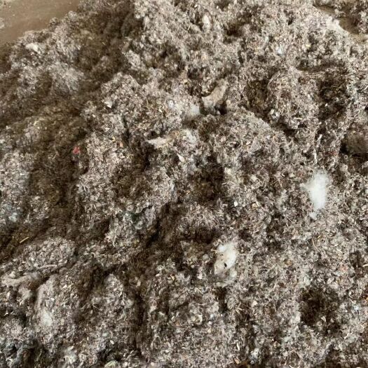 新疆石河子棉渣废棉，牛羊饲料原料，棉秆棉叶棉头