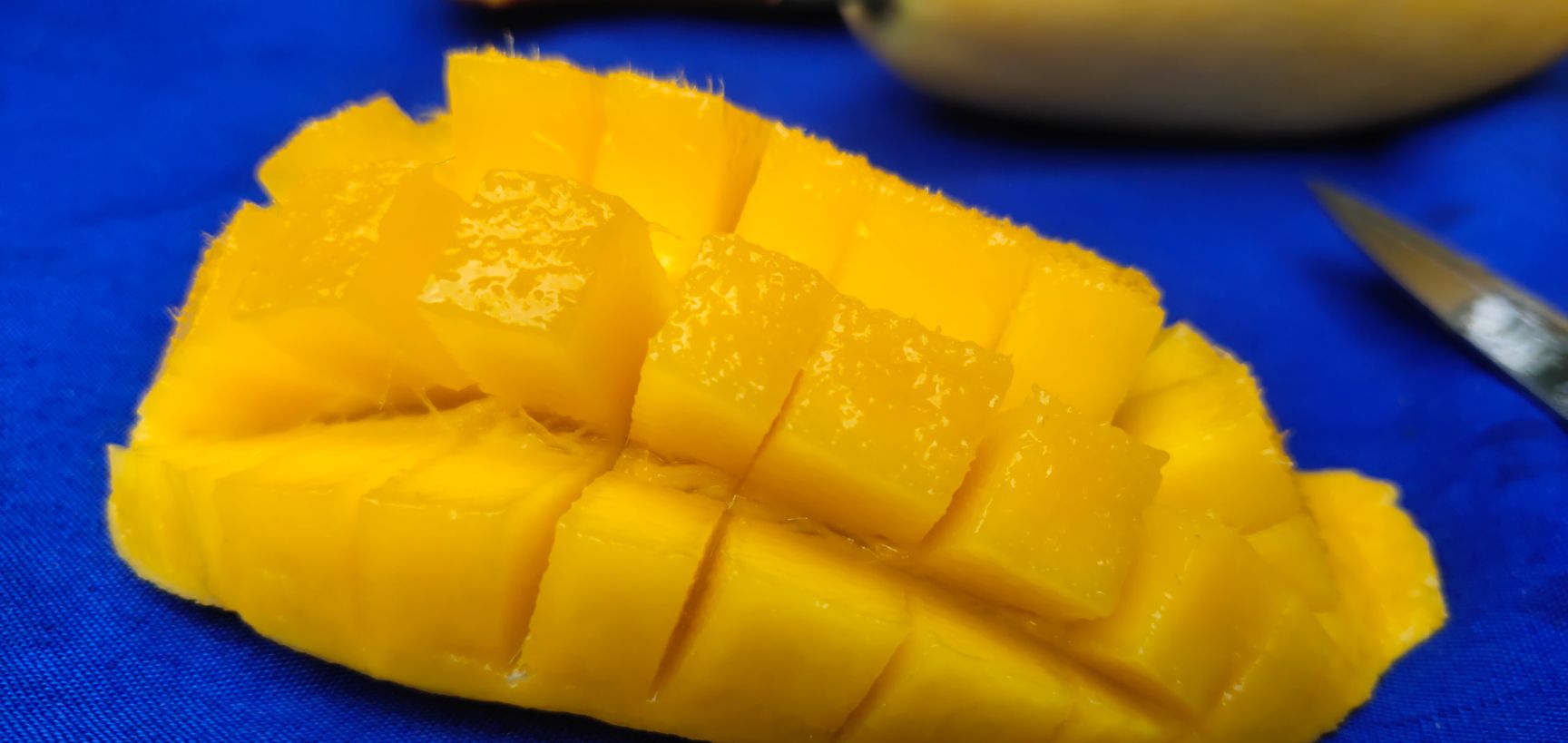 芒果 云南省保山市隆阳区