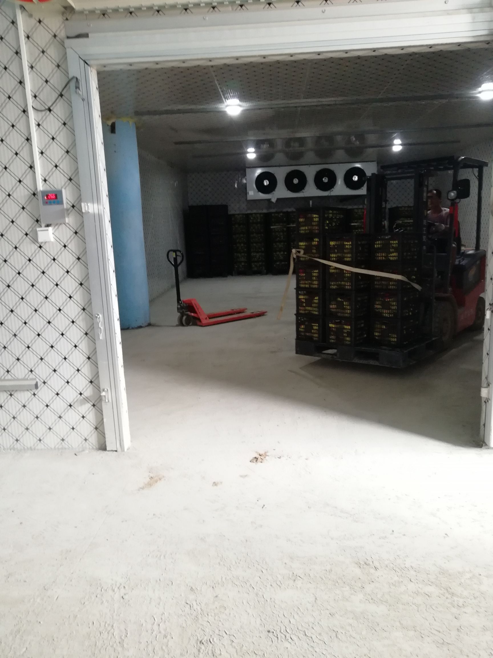 金都一号火龙果 红心火龙果，代收代办，支持一件代发，提供洗果