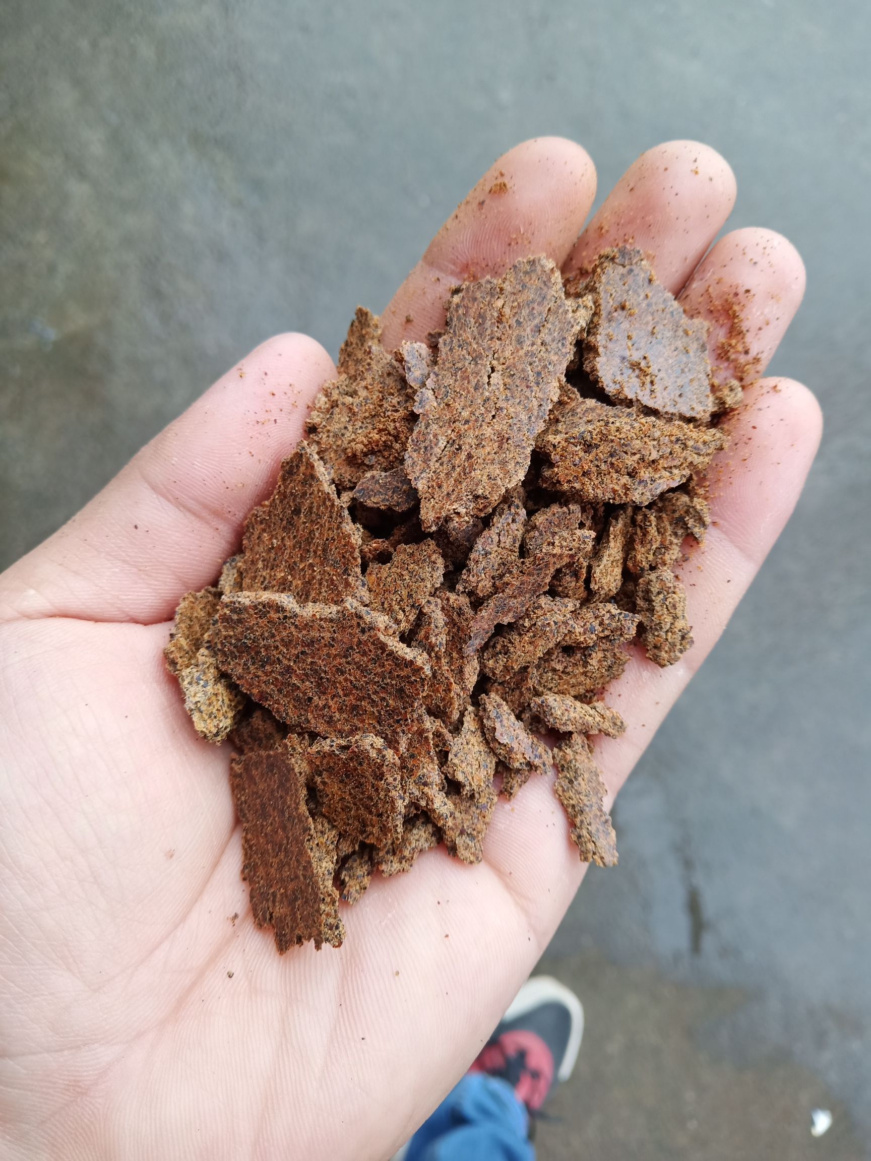 菜籽饼饲料 菜籽饼