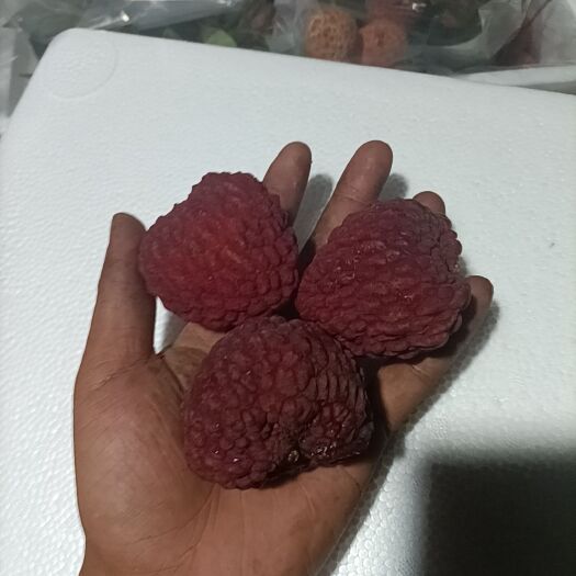 东莞市荔枝王  百年果王老树新品上市，过节送礼