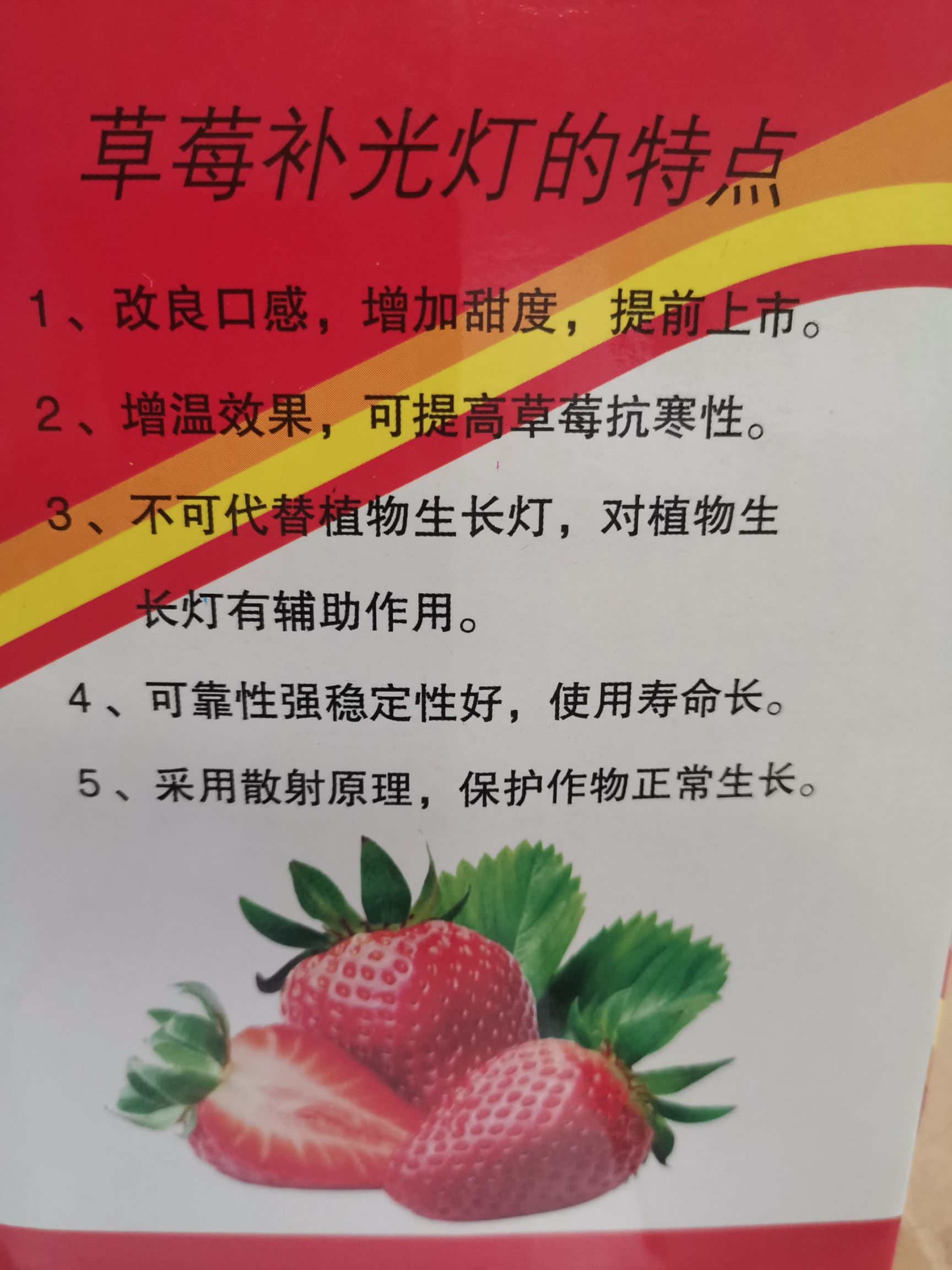 草莓补光增温灯 增加草莓抗寒能力提高棚温改善草莓提质增产口感
