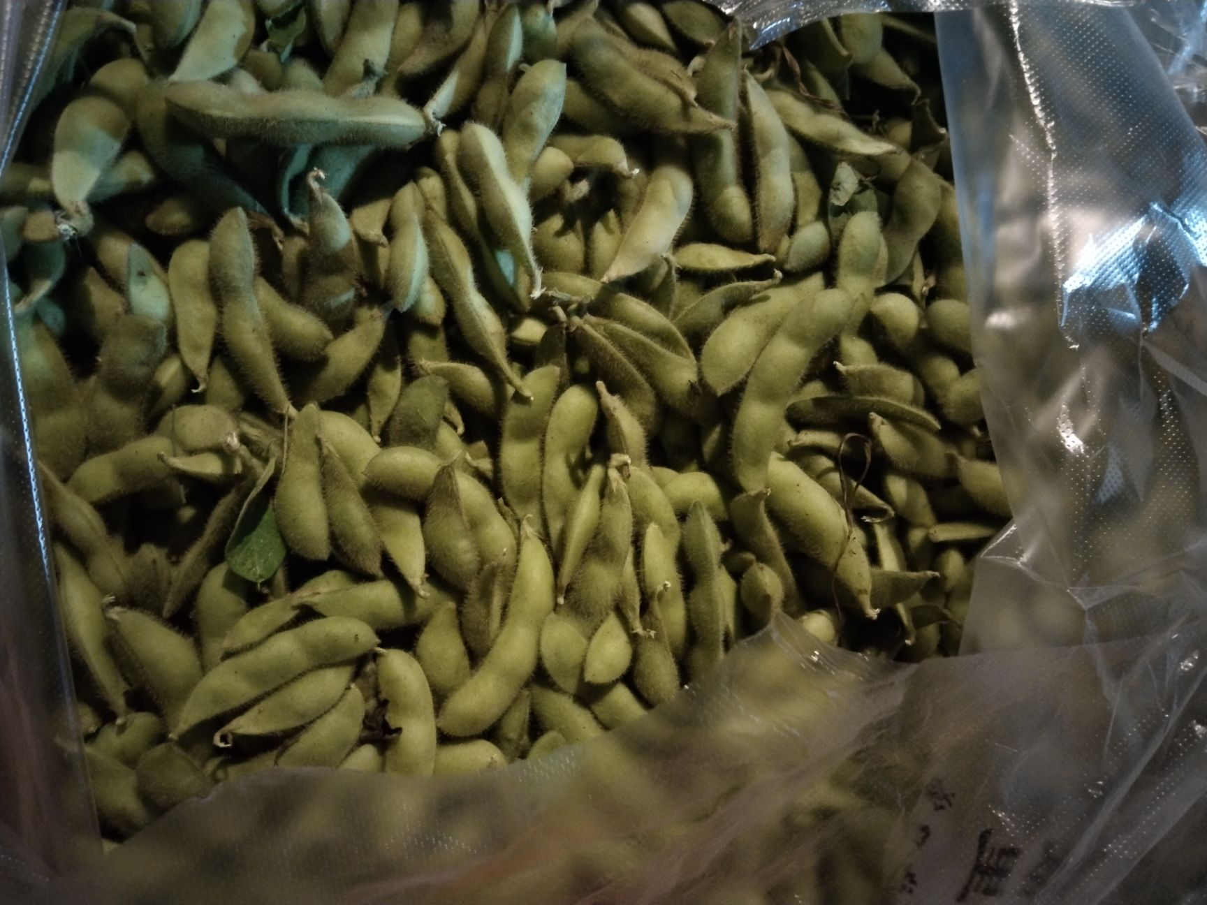 毛豆荚 毛豆