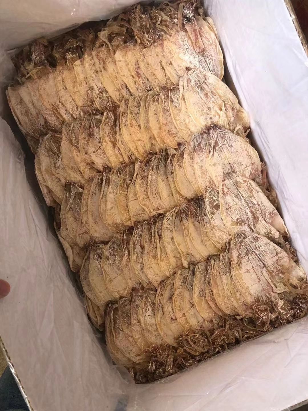 湛江特产，日晒马友鱼干，微咸，1箱25斤