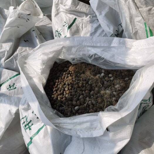 东台市 纯谷物饲养干羊粪