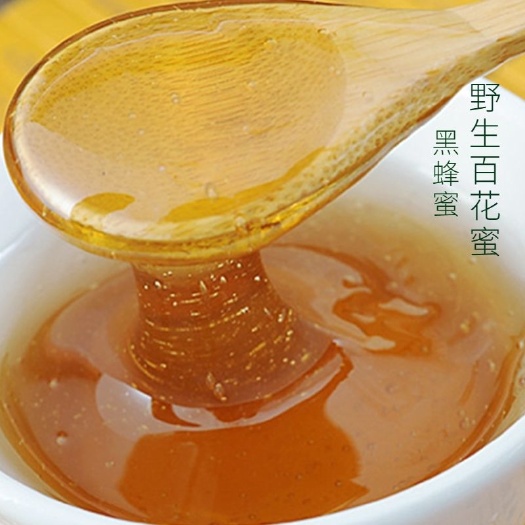 涉县野蜂蜜  太行深山土蜂蜜 一年仅割一次冬蜜