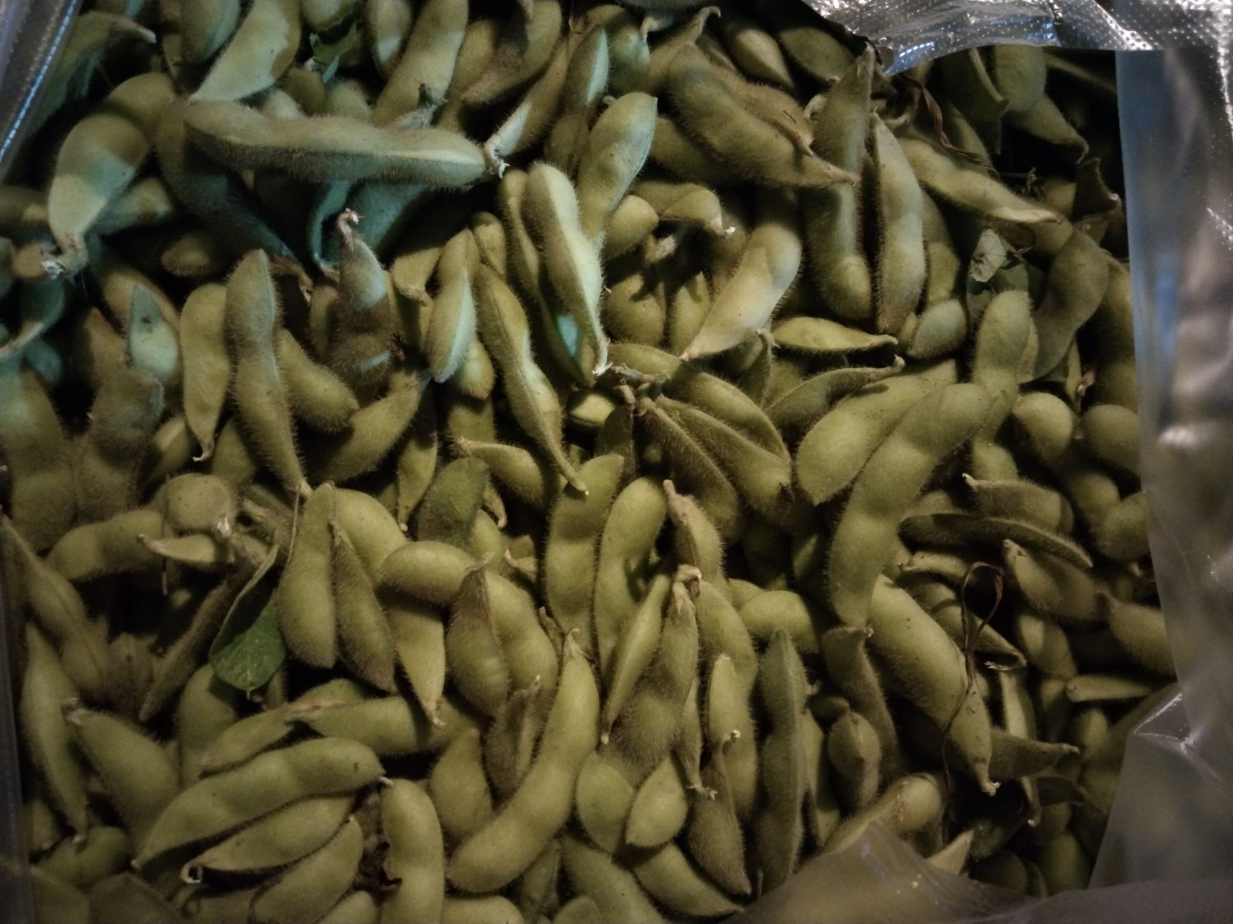 毛豆荚 毛豆
