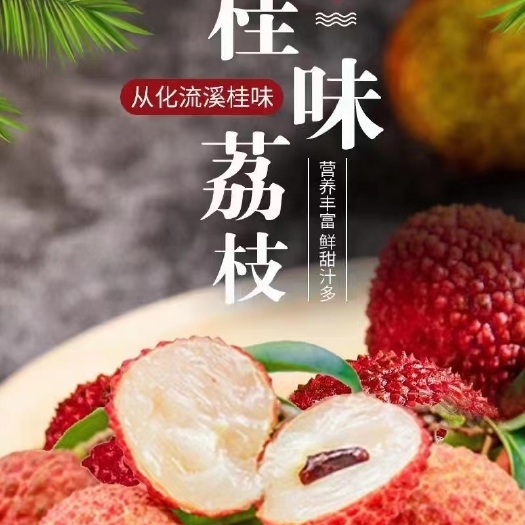 广州从化桂味荔枝出售