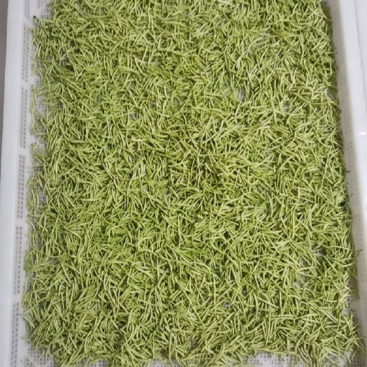 舞钢市金银花根