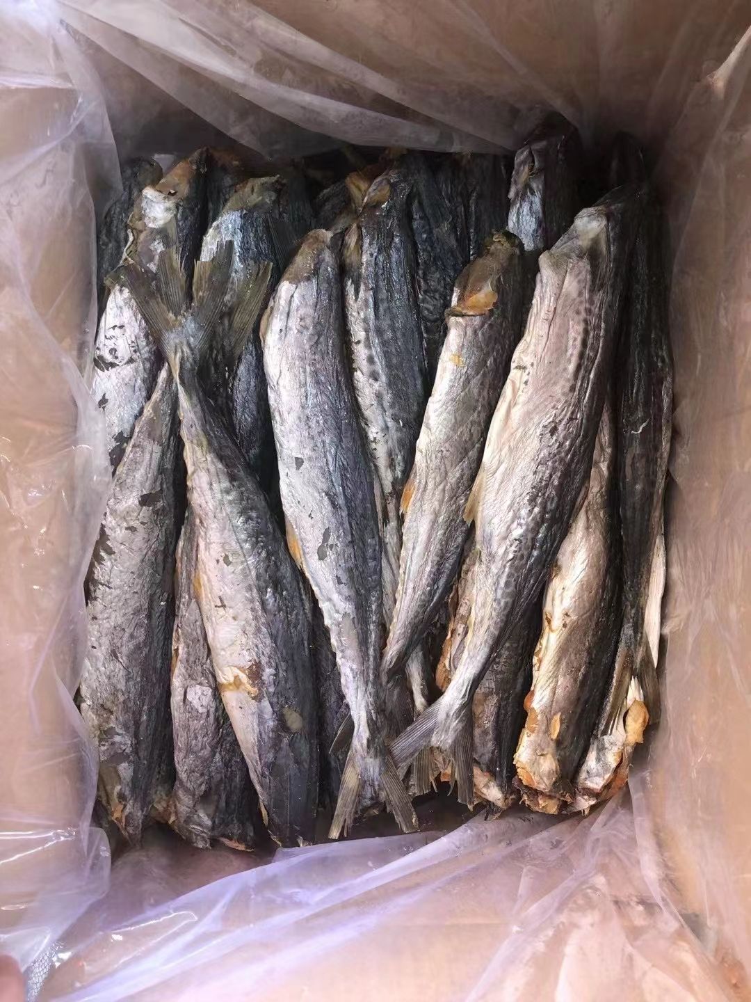 湛江特产，日晒马友鱼干，微咸，1箱25斤