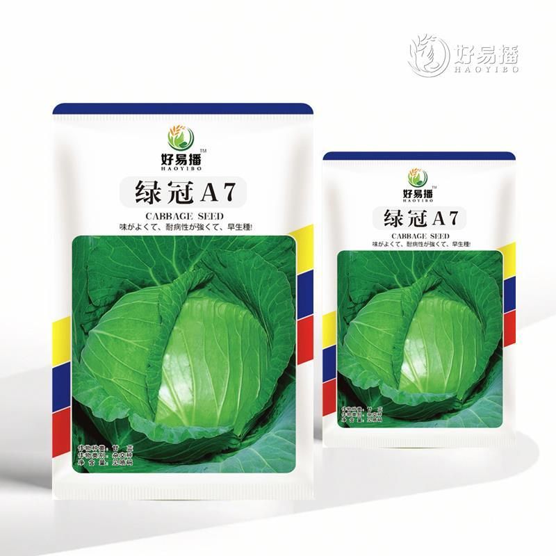 绿甘蓝种子 绿冠甘蓝种子耐热抗病包菜颜色绿口感甜脆蔬菜种子