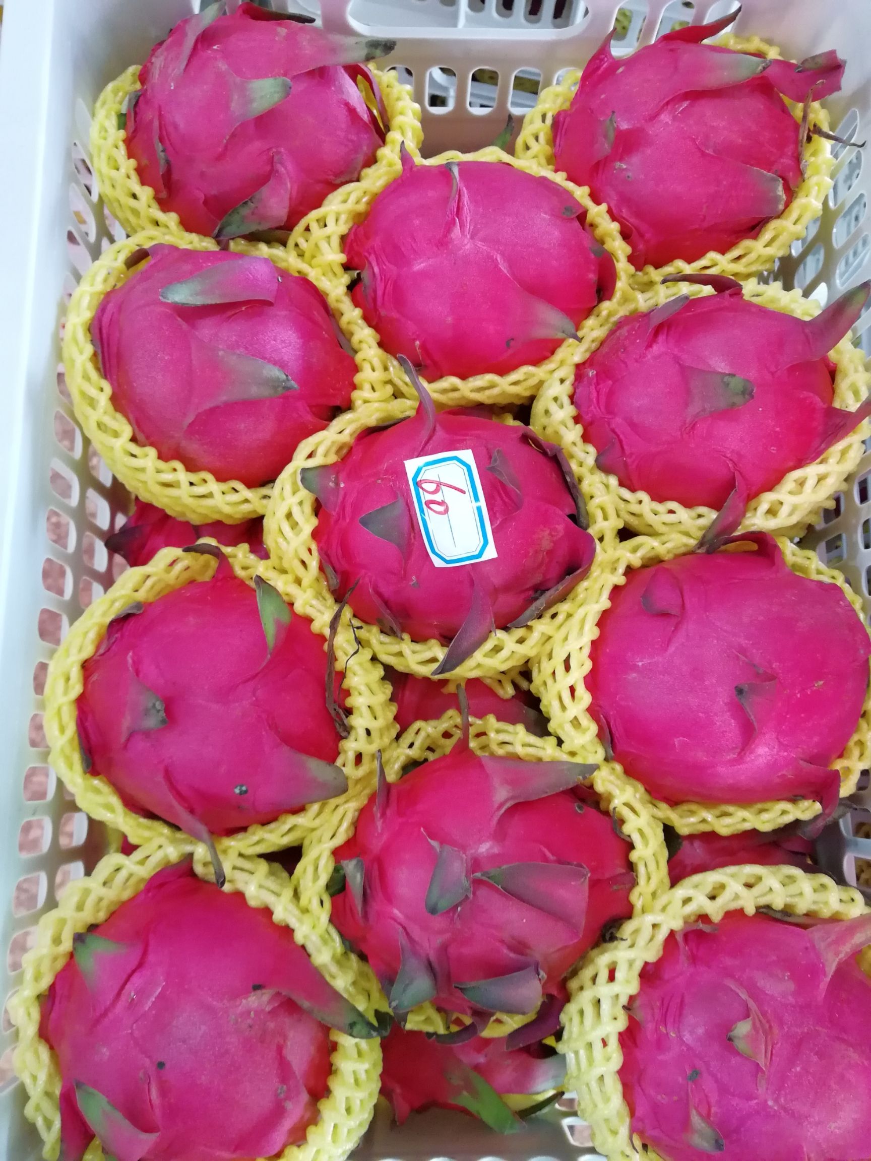 金都一号火龙果 红心火龙果，代收代办，支持一件代发，提供洗果