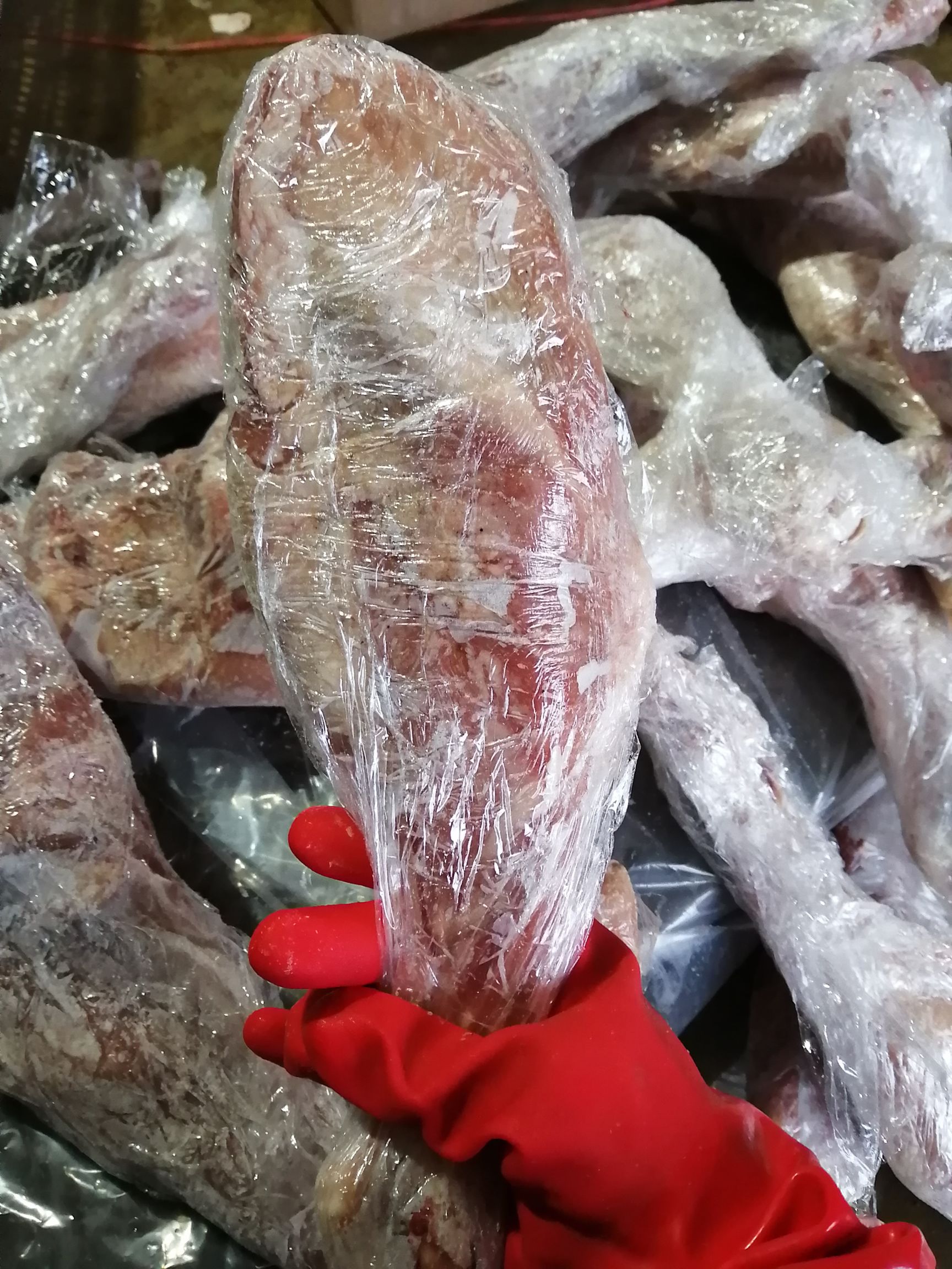 羊腿肉  羔羊腿  规格齐全