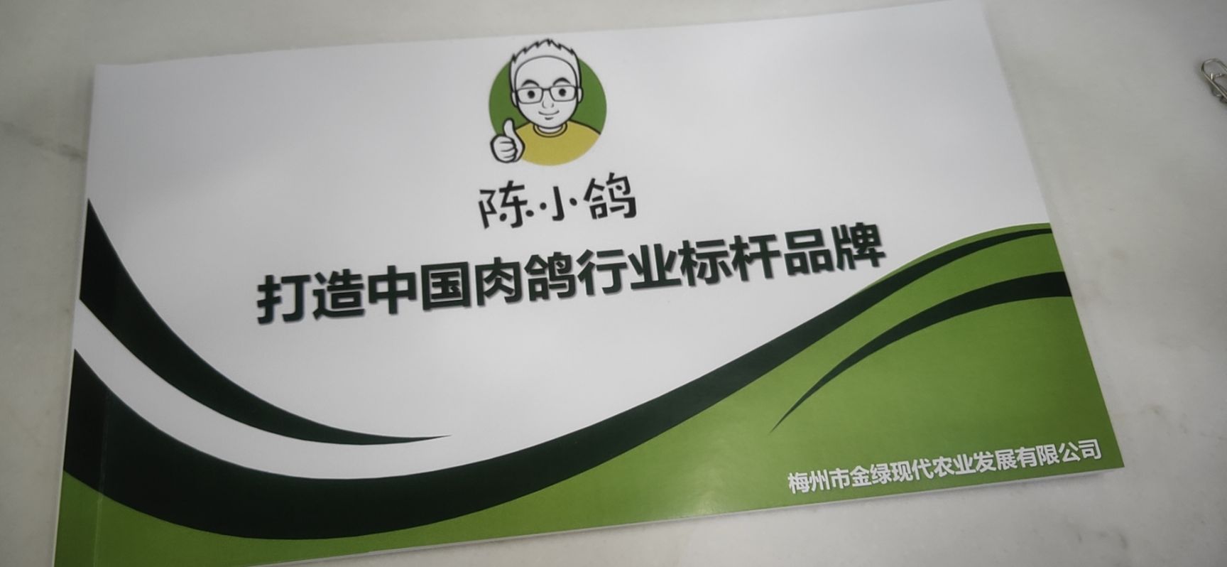 卤鸽  陈小鸽 铝箔真空 开袋即食  盐焗  酱香  香辣