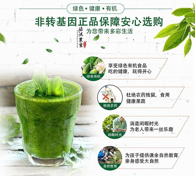 绿甘蓝种子 绿冠甘蓝种子耐热抗病包菜颜色绿口感甜脆蔬菜种子