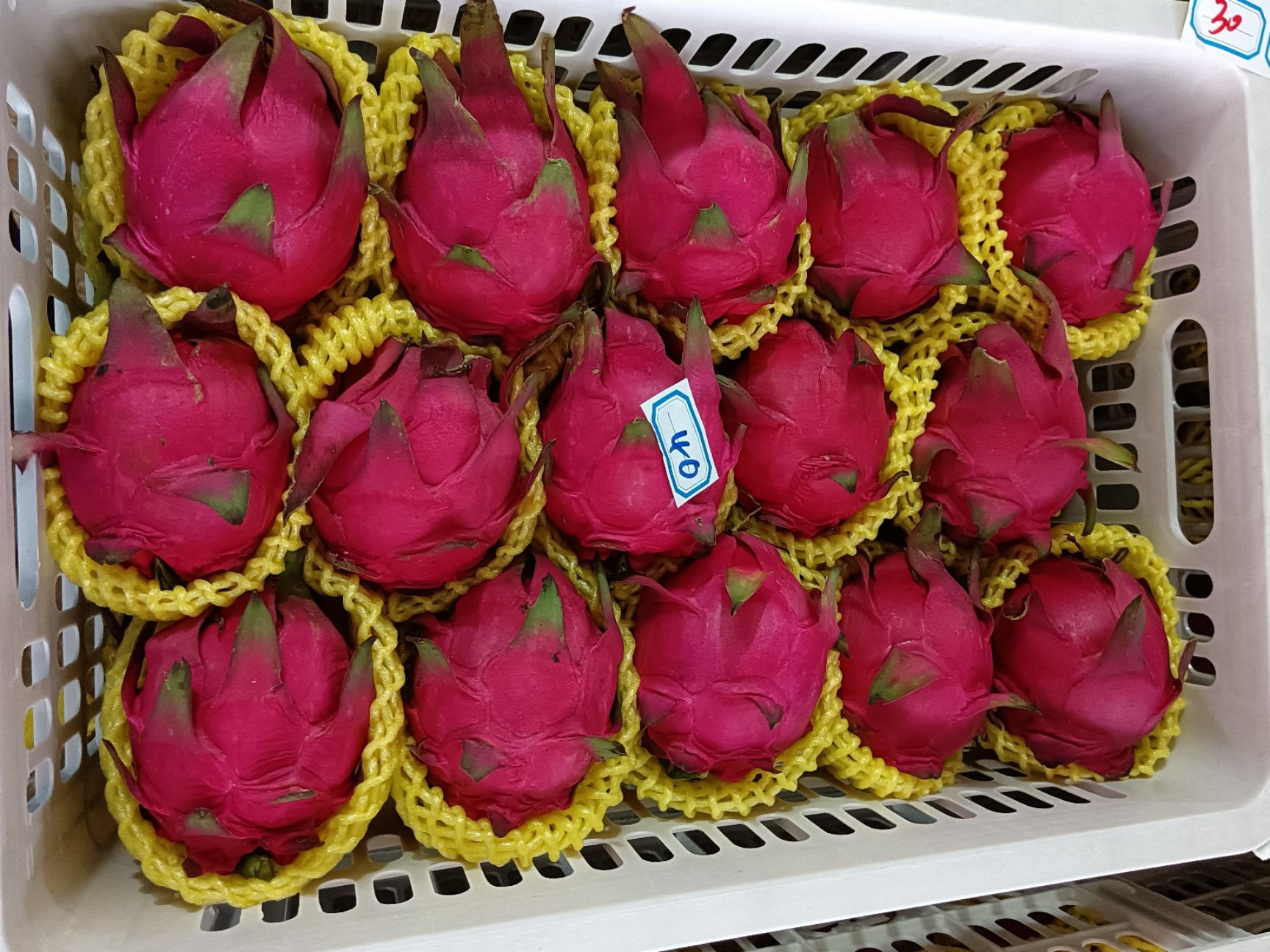 金都一号火龙果，红心火龙果，代办代收，提供洗果，预冷