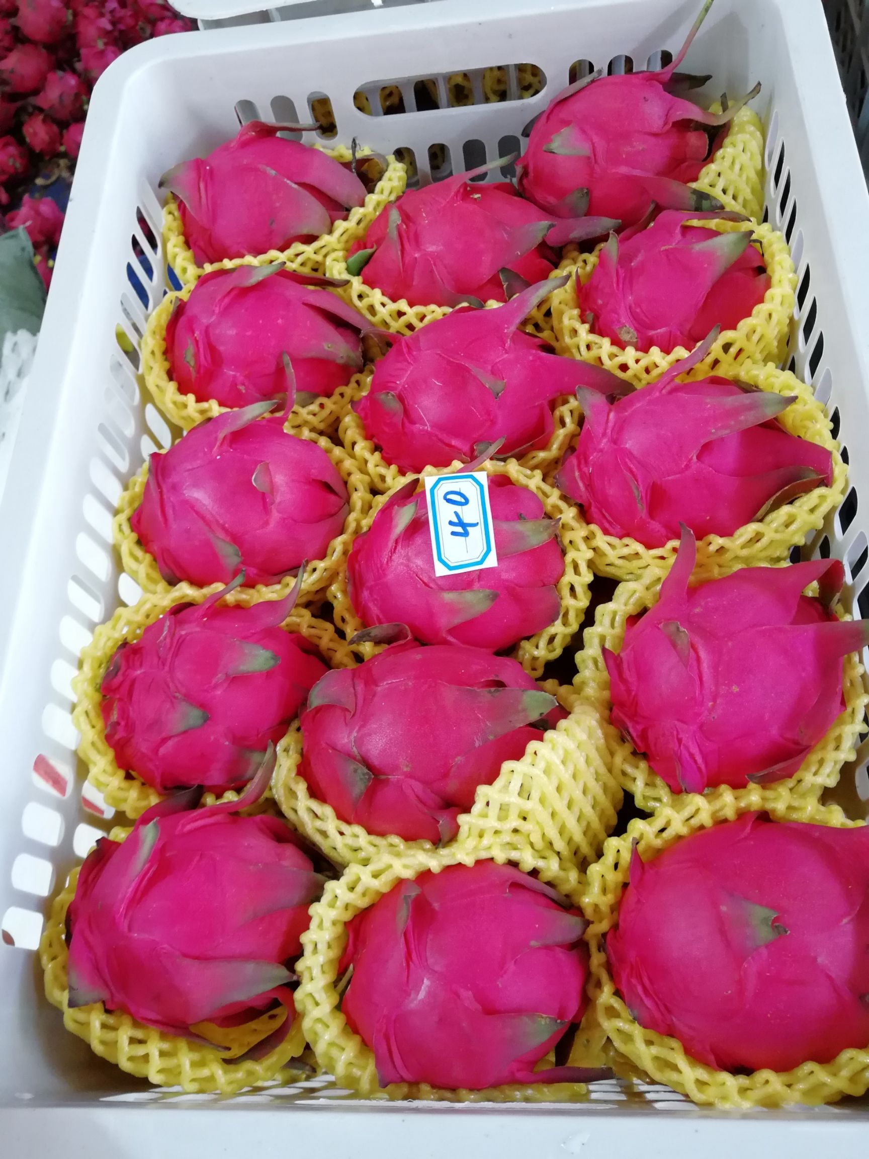 金都一号火龙果 火龙果，红心火龙果，代办，代收，提供洗果，预