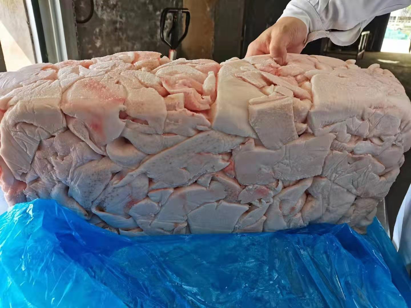 猪油 肥猪碎膘