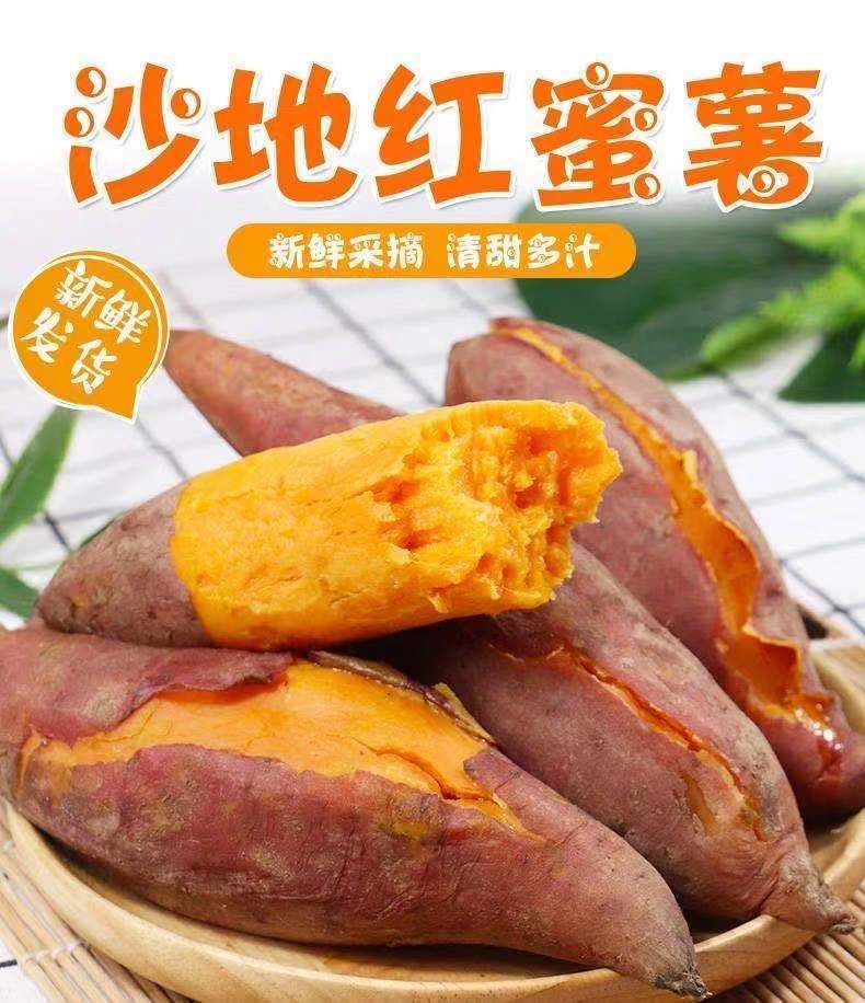 【现挖现发】沙地板栗红薯新鲜红蜜薯蔬菜5/9斤批发番薯包邮