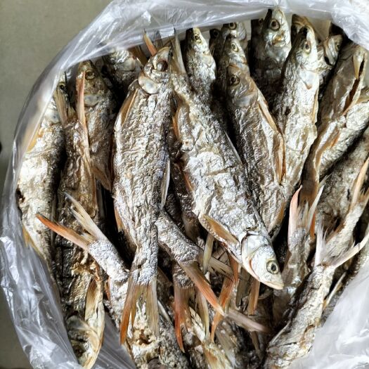淳安县红珠鱼干 千岛湖红猪鱼干