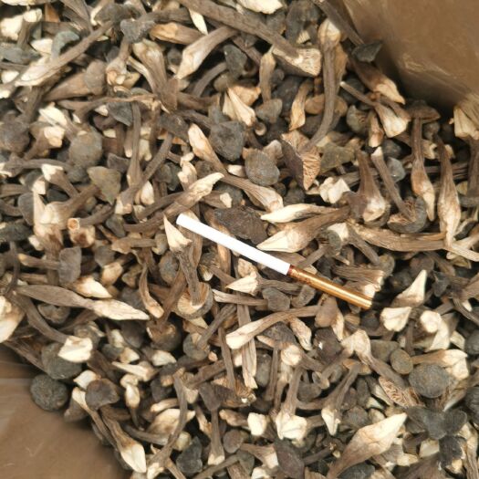 邹城市黑皮鸡枞菌干菇