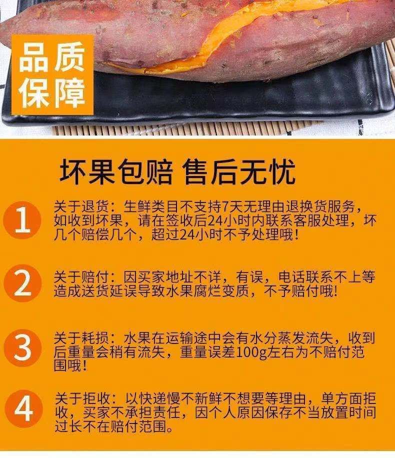 【现挖现发】沙地板栗红薯新鲜红蜜薯蔬菜5/9斤批发番薯包邮