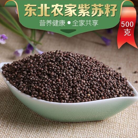 紫苏子 不是油苏子 河北地道 量大从优