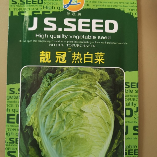 济南夏阳白菜种子  颜色更绿，抗热更好。