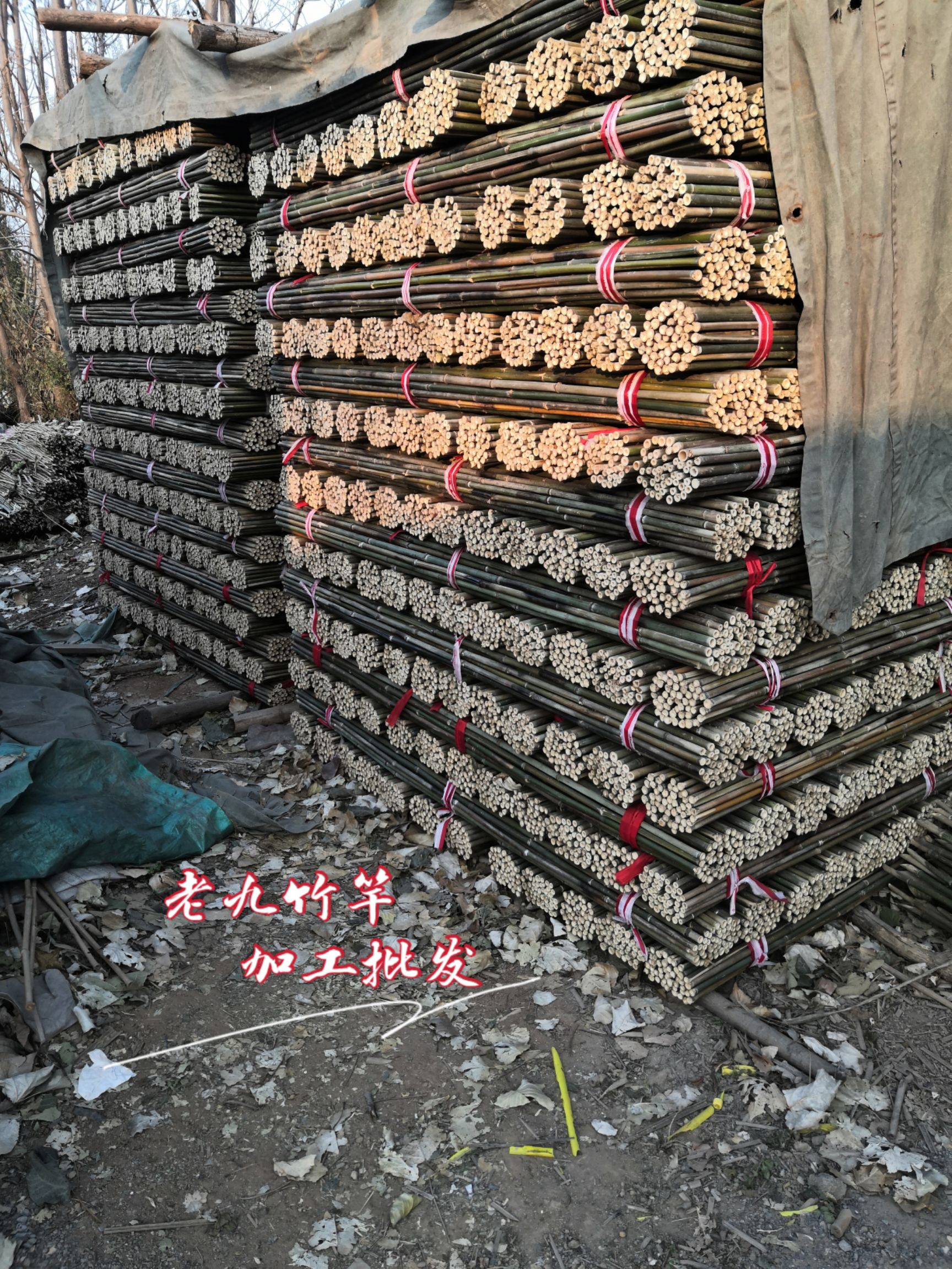 批发竹竿  烤直竹竿 竹条 绿化撑树杆 旗杆竹 菜架竹批发