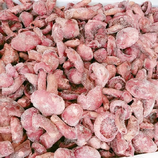 宁城县蘑菇 冻肉磨