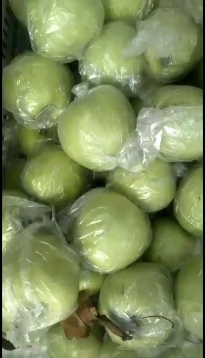 金帅苹果  华硕苹果 早熟苹果大量上市 口感脆甜