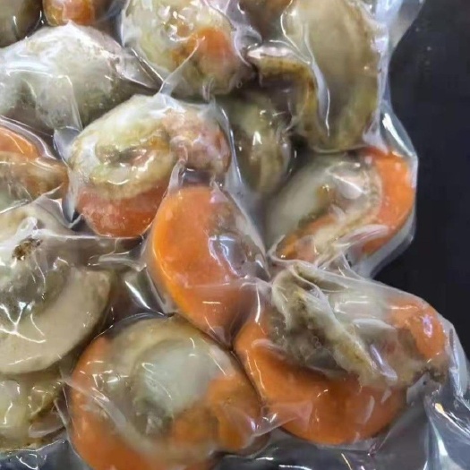 青岛批发供应冷冻去脏扇贝肉原料红膏本地蒜蓉扇贝肉捞汁海鲜食材