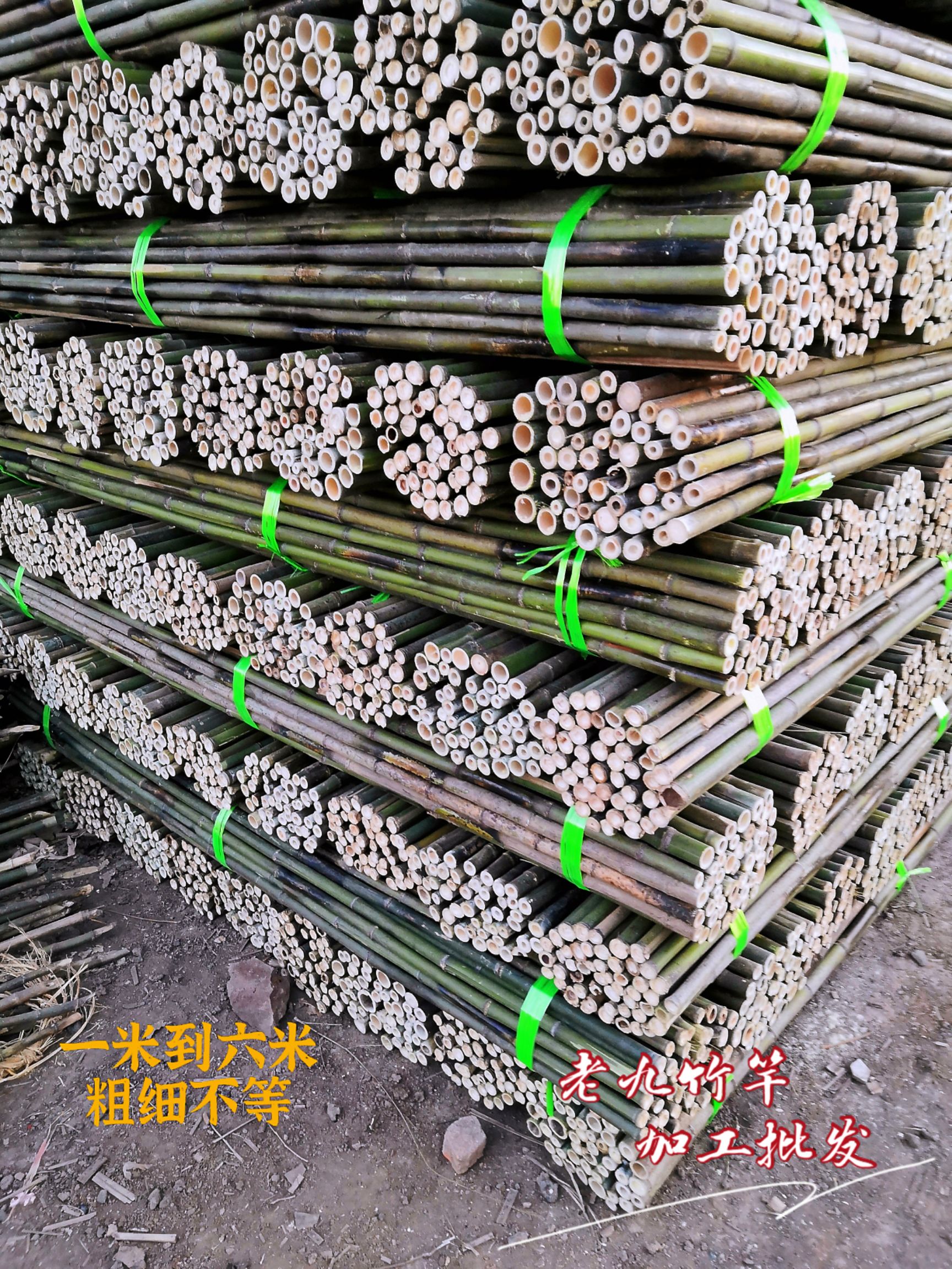 批发竹竿  烤直竹竿 竹条 绿化撑树杆 旗杆竹 菜架竹批发