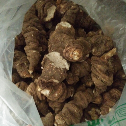 绵阳五倍子 选货重楼