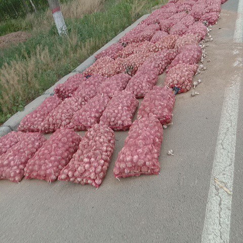 延津县紫皮蒜  大青稞品种大蒜