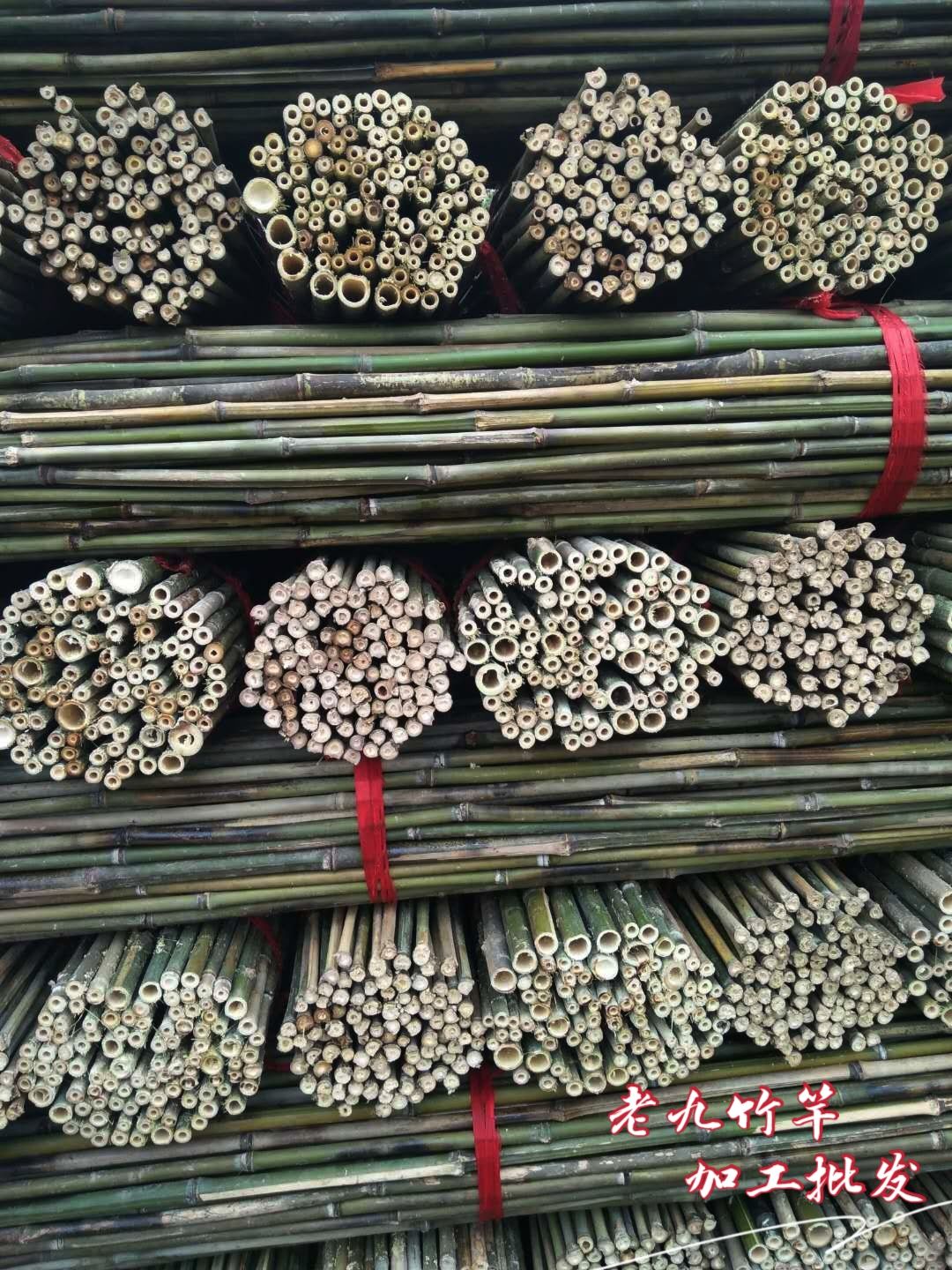 批发竹竿  烤直竹竿 竹条 绿化撑树杆 旗杆竹 菜架竹批发