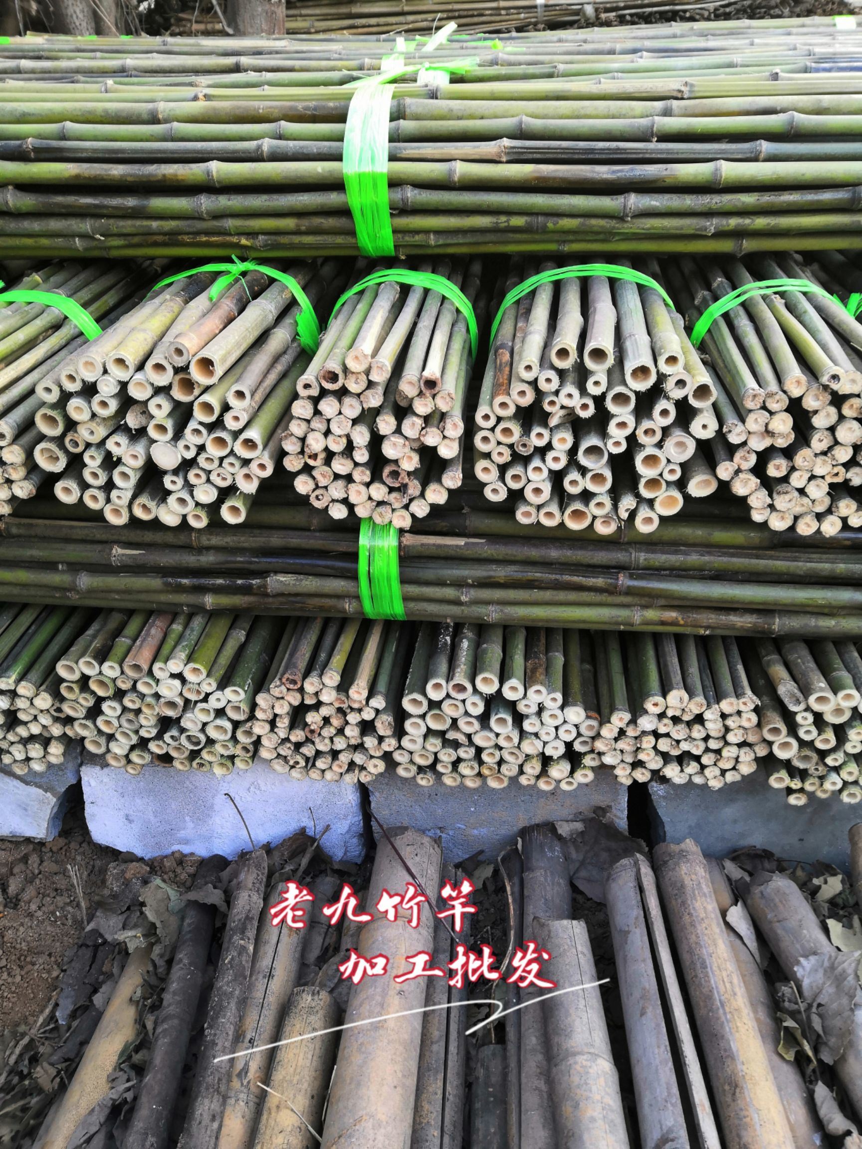 批发竹竿  烤直竹竿 竹条 绿化撑树杆 旗杆竹 菜架竹批发