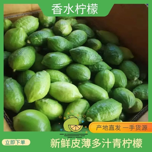 信宜市广东信宜香水柠檬，香味浓郁。