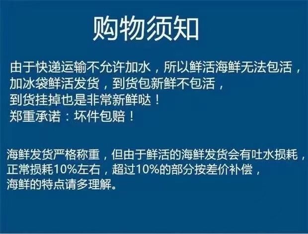  海鲜水产鲜活鲍鱼4-12头/斤大鲍鱼新鲜活体大个鲍鱼