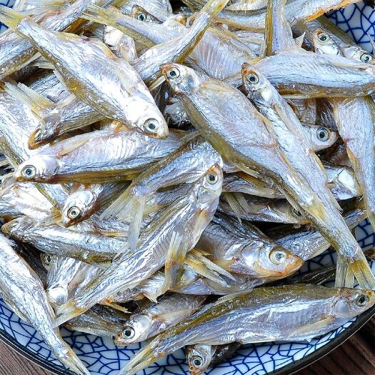 随县 刁子鱼干
