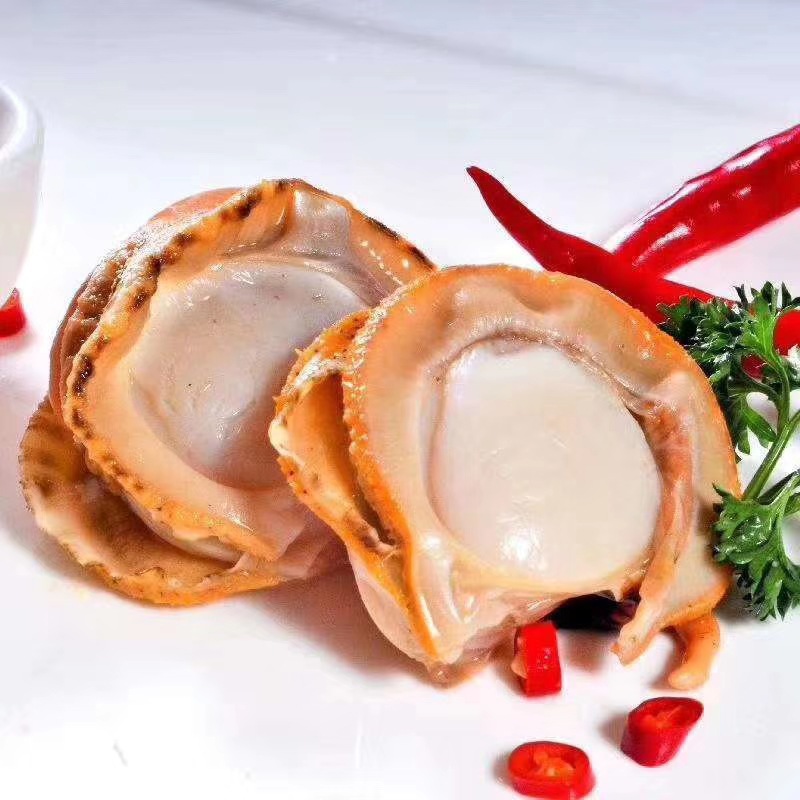 批发供应冷冻去脏扇贝肉原料红膏本地蒜蓉扇贝肉捞汁海鲜食材